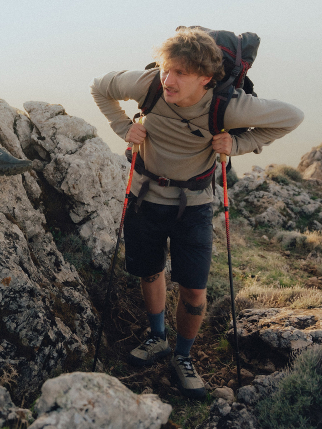 Image 6 for product Huge Crew Herr